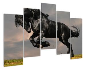 Černý kůň, obraz (125x90cm)
