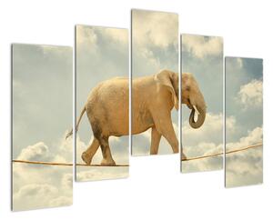 Slon na laně, obraz (125x90cm)