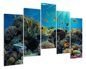Obraz podmořského světa (125x90cm)