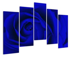 Detail modré růže - obraz (125x90cm)
