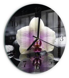 Skleněné nástěnné hodiny Orchidej zsoc-fi30-00179022