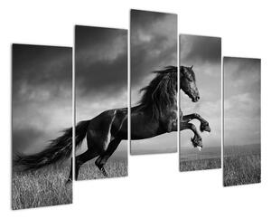 Obraz koně na stěnu (125x90cm)