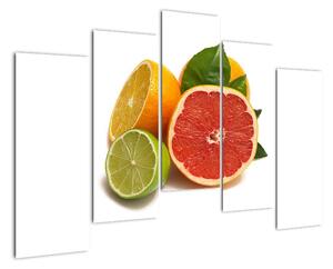 Citrusové plody - obraz (125x90cm)