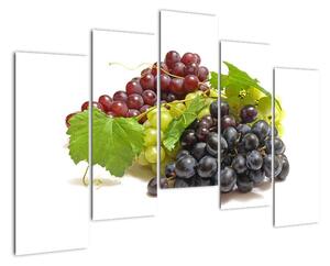 Hroznové víno - obrazy (125x90cm)