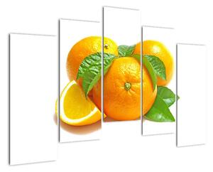 Pomeranče, obraz (125x90cm)