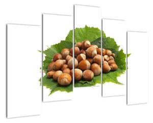 Lískové ořechy, obraz (125x90cm)