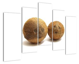 Kokosový ořech, obraz (125x90cm)