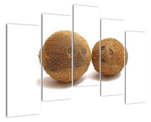 Kokosový ořech, obraz (125x90cm)