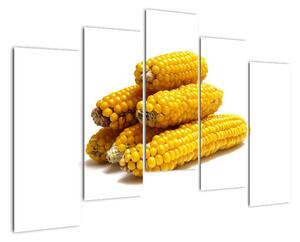 Kukuřice, obraz (125x90cm)