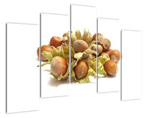 Lískové ořechy - obrazy (125x90cm)