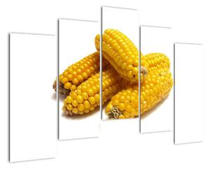 Kukuřice, obraz (125x90cm)