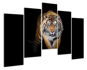 Tygr, obraz (125x90cm)