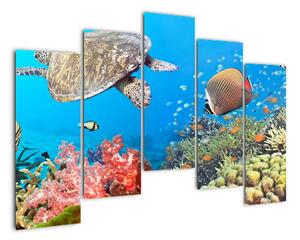 Podmořský svět, obraz (125x90cm)