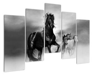 Černobílý obraz koňů (125x90cm)