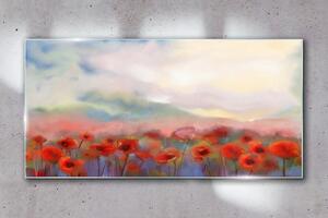 Obraz na skle Obraz na skle Abstrakce Maki květiny