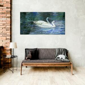 Obraz na skle Obraz na skle Jezero ptáků labutě vody