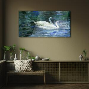 Obraz na skle Obraz na skle Jezero ptáků labutě vody