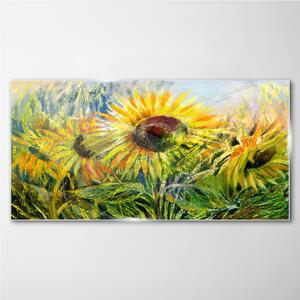 Obraz na skle Obraz na skle Květiny květiny slunečnice