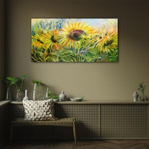 Obraz na skle Obraz na skle Květiny květiny slunečnice