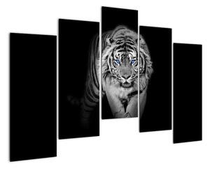Černobílý lev - obraz (125x90cm)