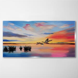 Obraz na skle Obraz na skle Lake Birds Sunset