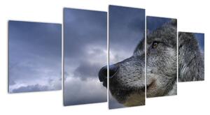 Obraz vlka (150x70cm)