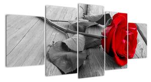 Obraz růže s červeným květem (150x70cm)