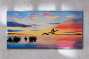 Obraz na skle Obraz na skle Lake Birds Sunset