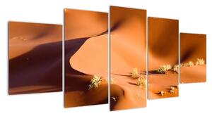 Obraz pouštích dun (150x70cm)