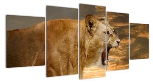 Obraz řvoucího lva (150x70cm)