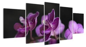 Obraz květů (150x70cm)