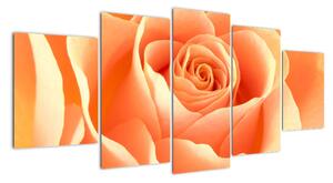 Obraz oranžové růže (150x70cm)