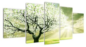 Jarní strom - moderní obraz (150x70cm)