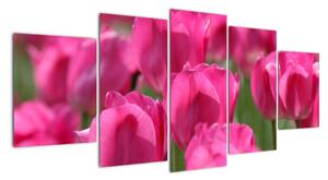 Obraz tulipánů (150x70cm)