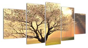 Obraz přírody - strom (150x70cm)