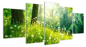 Moderní obrazy přírody (150x70cm)