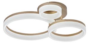Rabalux 71383 - LED Stropní svítidlo AMILIA LED/24W/230V 3000/4000/6500K zlatá