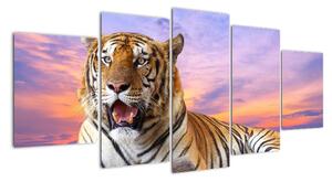 Obraz ležícího tygra (150x70cm)