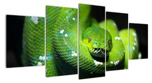 Obraz zvířat - had (150x70cm)
