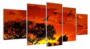Obraz zapadajícího slunce s ptáky (150x70cm)