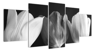 Černobílý obraz - tři tulipány (150x70cm)
