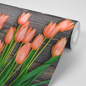 Samolepící fototapeta oranžové tulipány na dřevěném podkladu