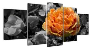 Oranžový květ na černobílém pozadí - obraz (150x70cm)
