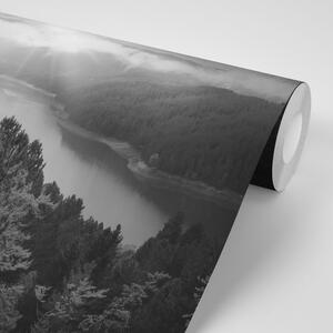 Fototapeta řeka uprostřed lesa v černobílém provedení