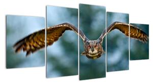 Obraz letící sovy (150x70cm)