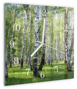 Skleněné hodiny Březový les zskb-30x30-00081131