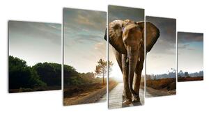 Obraz kráčejícího slona (150x70cm)