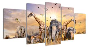 Obraz - safari (150x70cm)