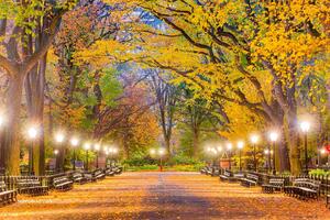 DIMEX | Vliesová fototapeta Central Park na podzim MS-5-3019 | 375 x 250 cm | zelená, modrá, žlutá, hnědá