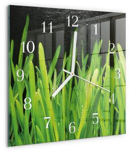 Skleněné hodiny Tráva zskb-30x30-00091779